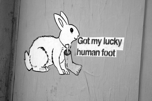 -=One Lucky Rabbit=-