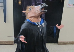 danglingthpider:  passthecocaine:  MY POLYJUICE POTION HAS GONE TERRIBLY WRONG  poor Hermio-neigh 