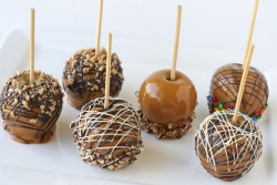 fullcravings:  Gourmet Caramel Apples http://www.glorioustreats.com/2011/10/how-to-make-gourmet-caramel-apples.html 