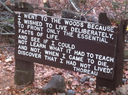 thoreau