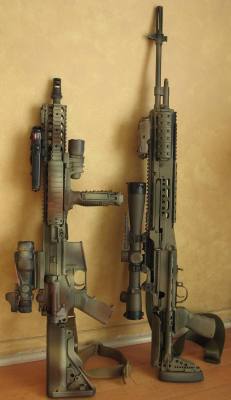 bugoutblog:  Nice Pair!