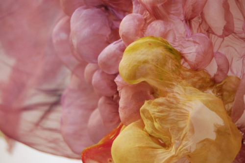 pulmonaire:  Thread Installation by Lisa Kellner 