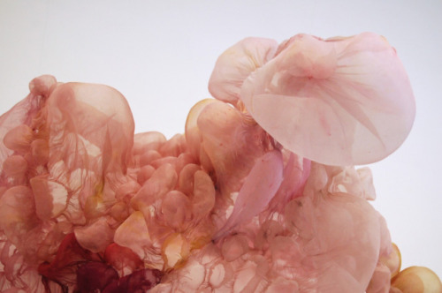 pulmonaire:  Thread Installation by Lisa Kellner 