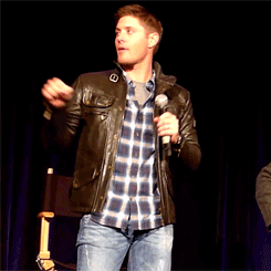 wheelsonabucket-deactivated2022:   Jensen and Jared on weird / funny things that