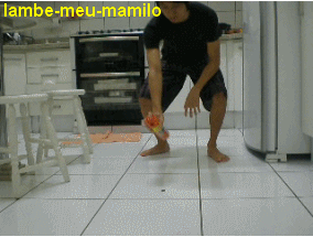 Vendo uma barata