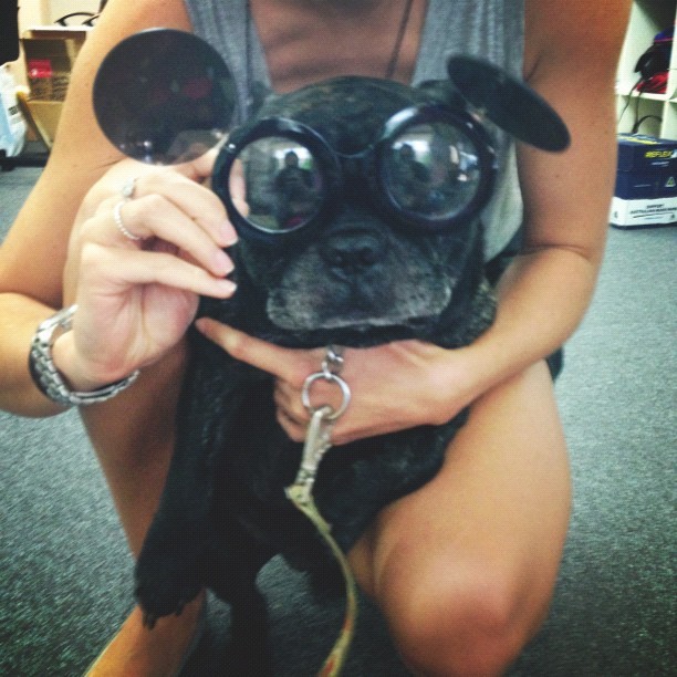 stfulily:  aww