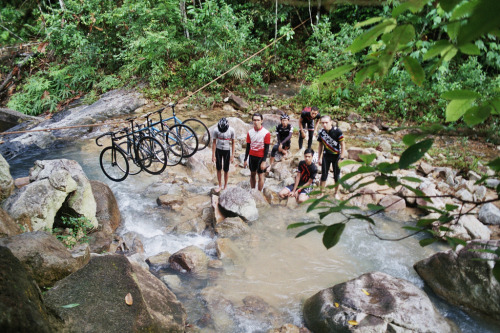 chirosangaku: Milano Fixed - gunung pulai