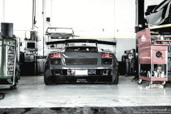 automotivated:  Gallardo Superleggera (by