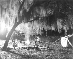 oldflorida:  Camping on Bull Frog Creek, it’s 1925. 