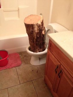 karkatstuck:  fuckyeahdementia:  too much fiber in my diet  was this joke really worth putting a log in your toilet 