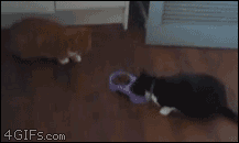 al3xvnder:  I’ll just… I’ll just..take this off your hands……..ah there