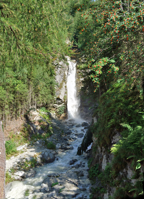 Cascade Du Dard Chamonix Fr