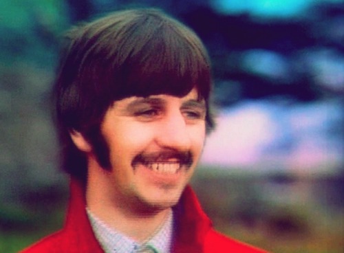 psbeatles:Penny Lane is in my ears and in my eyes…