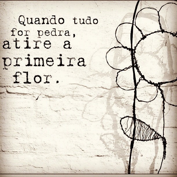 —	Amor Leal.