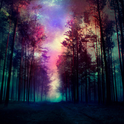 where is my mind?
