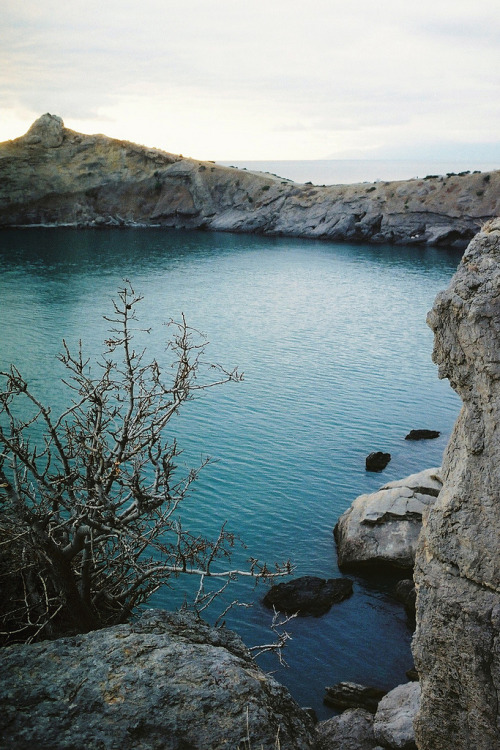 tumblr photo gageymoto 0