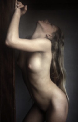 showstudio:  David Hamilton 