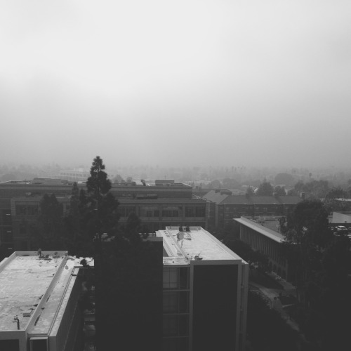 Fog.