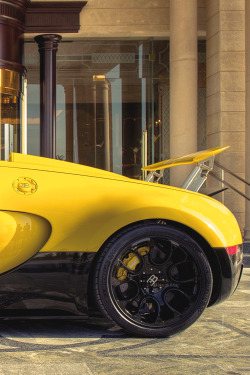 fuckyeahthebetterlife:  Bugatti Veyron Grand Sport