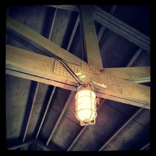 #fmsphotoaday #photoadaydecember #lookingup