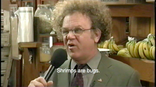 HE GETS IT THAT IS WHY I CANNOT EAT SHRIMP THEY ARE SEA ROACHES