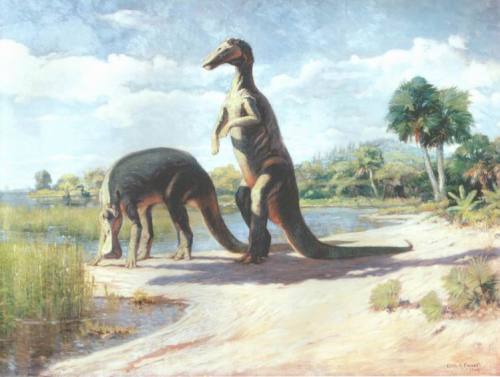 Sex dryptosaurus:  Trachodon by Charles R. Knight pictures
