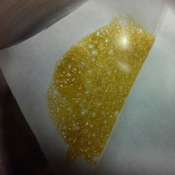 zerobrand:  Full vac, purging the sour d #nugrun #cleanconcentrates #zerobrandextracts #zeromade #clear