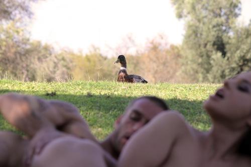 damn people.  they’re blocking my view of the bird.  