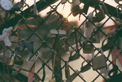 f-f-f-fight:  gentlewolves:  (by gabriel.chemery) Paris, France. Couples write their names on “love locks” and locks them onto a bridge, then the key is thrown into the Seine River. This symbolizes undying love.  Remember this? 