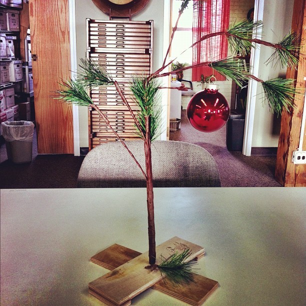 An authentic Charlie Brown Xmas tree! It has the logo on the stand. #cool #holidays