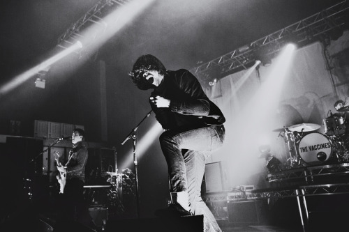 fl0yds:  The Vaccines (by beezeebeebee)