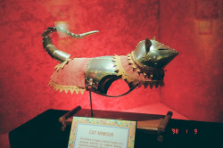 Thewolfandowl:  Cat. Armour. Cat Armour. 