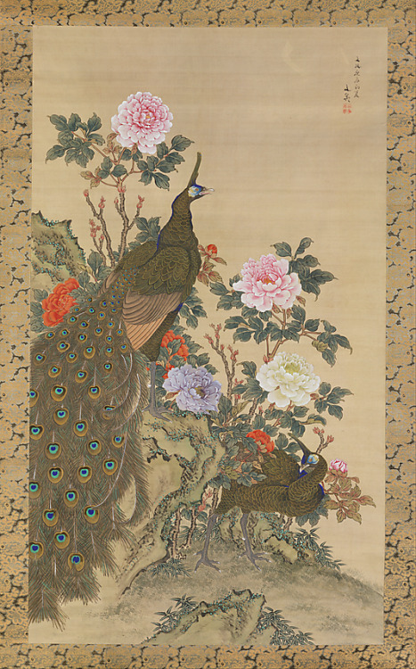 &lsquo;Peacocks and Peonies&rsquo; by artist Tani Bunchô, circa 1820, Japan. 
