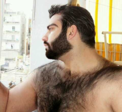 hairypitparadise:  This guy is so damn handsome!!!  Beautiful fur and eyes. 