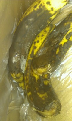 Nasty Ass Moldy Bananas -___- Lol