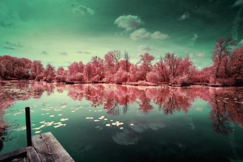 tascendentalism:  sosuperawesome:  Multicolored Infrared Landscapes by David Keochkerian  ugh i meant to get a infrared lens filter years ago and never diddd 