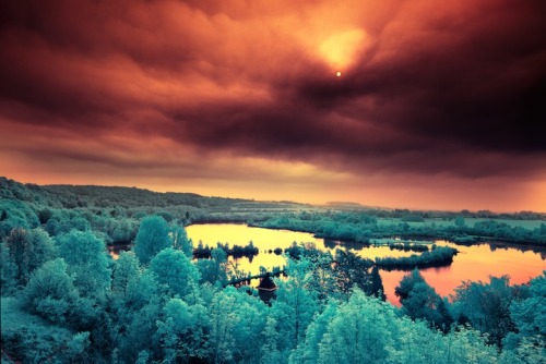 tascendentalism:  sosuperawesome:  Multicolored Infrared Landscapes by David Keochkerian  ugh i meant to get a infrared lens filter years ago and never diddd 