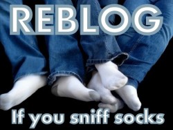 dirtysmellysocks:  FOLLOW ME FOR MUCH MORE!!! REBLOG, LIKE, SHARE, MESSAGE, POST…HAVE FUN!!! http://dirtysmellysocks.tumblr.com/