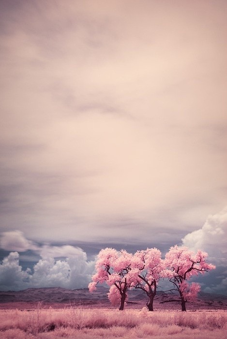 Stuck In A Moment