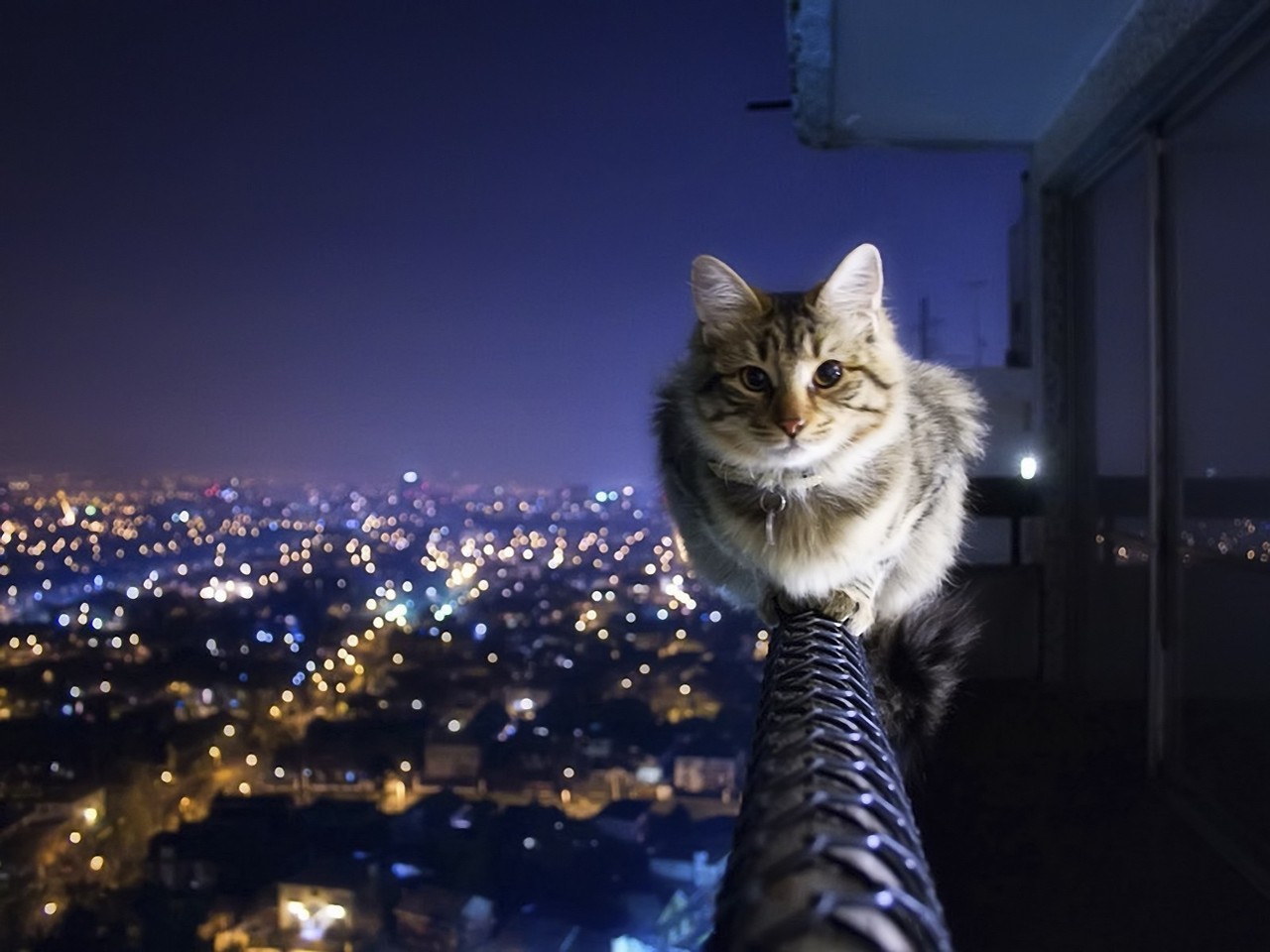 gaksdesigns:  ‘Sick fearless bastard’ by Photographer Ivo Berg