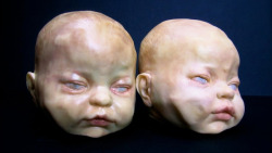 swamp-thing:  Life-sized chocolate baby heads