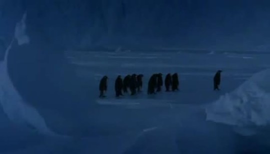 El vídeo es algo así como: - GRUPO: JAJAJA Menuda hostia se ha dado - Pingüino