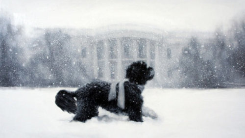 Bo, as painted by Larassa Kabel. This is the White House&rsquo;s Christmas card this year.