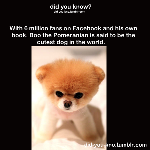 did-you-kno:  Source