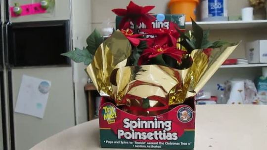 samandriel:  paradoximas:  so okay i work at a thrift store and we have this christmas display up and someone donated these “spinning poinsettias” and i guess no one checked the batteries and oh my god merry christmas everyone  rocking around the