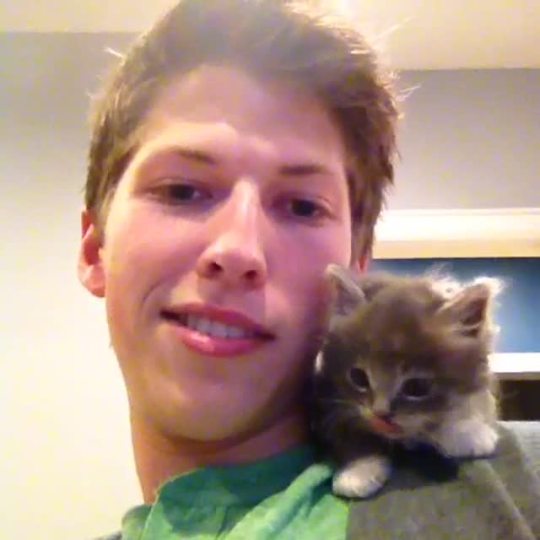 juicyjacqulyn:epic-vines:Lil guy tried to meow! Vine by: Papa Falcon  that is the face of a person who has just died from cute 