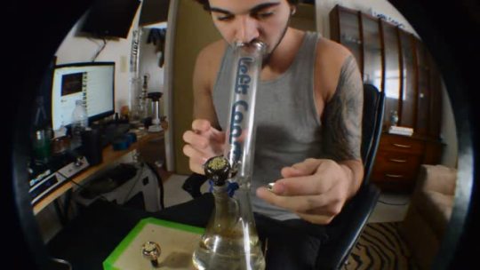 runtrees:  how dabbers smoke weed 