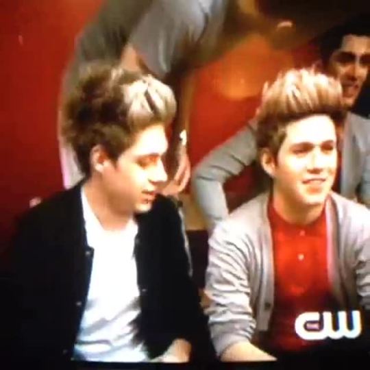 lovesnialls:  actual proof that Niall Horan is the most adorable person on this Earth 