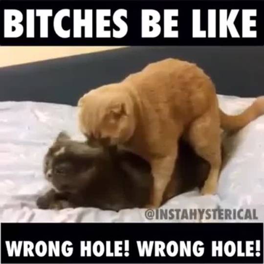 simplyexistingxx:  Bitches be like, “WRONG HOOOOLE”