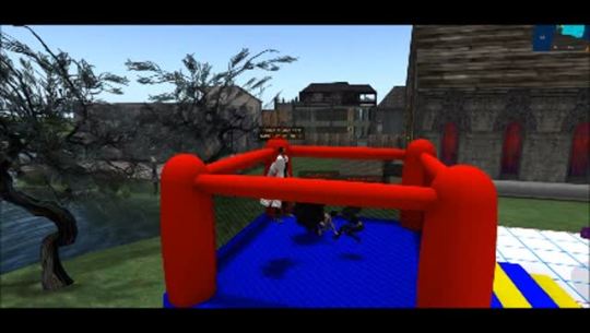 friend made a bouncy house..very cool